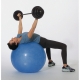 Powerboll / Fitnessboll 65
